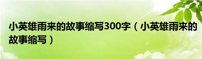 小英雄雨来的故事缩写300字（小英雄雨来的故事缩写）