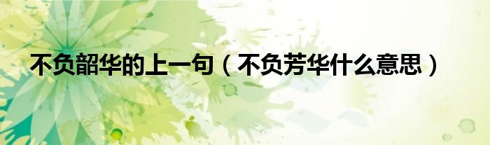 不负韶华的上一句（不负芳华什么意思）