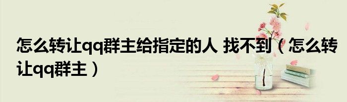 怎么转让qq群主给指定的人 找不到（怎么转让qq群主）