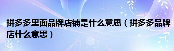 拼多多里面品牌店铺是什么意思（拼多多品牌店什么意思）
