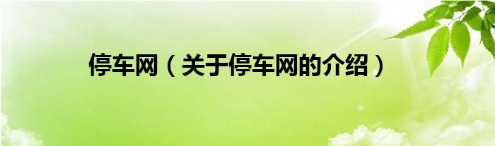 停车网（关于停车网的介绍）
