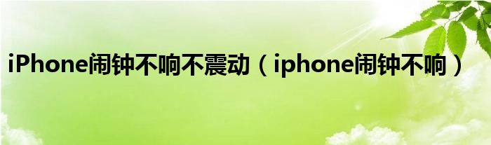 iPhone闹钟不响不震动（iphone闹钟不响）