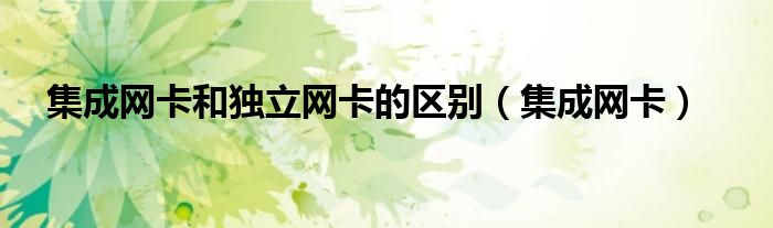 集成网卡和独立网卡的区别（集成网卡）