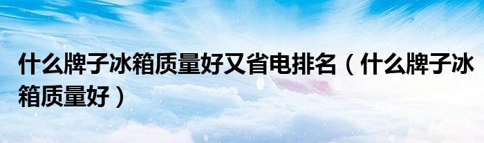 什么牌子冰箱质量好又省电排名（什么牌子冰箱质量好）