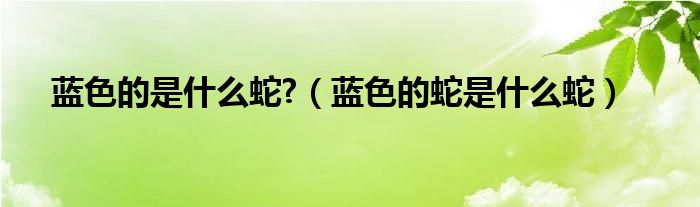蓝色的是什么蛇?（蓝色的蛇是什么蛇）