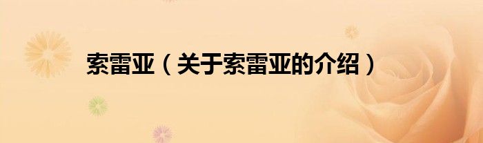 索雷亚（关于索雷亚的介绍）