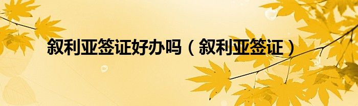 叙利亚签证好办吗（叙利亚签证）