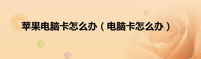 苹果电脑卡怎么办（电脑卡怎么办）
