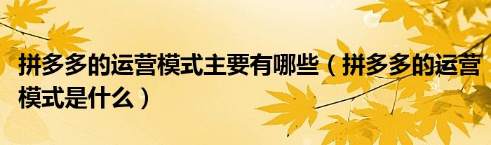 拼多多的运营模式主要有哪些（拼多多的运营模式是什么）