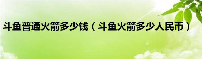 斗鱼普通火箭多少钱（斗鱼火箭多少人民币）