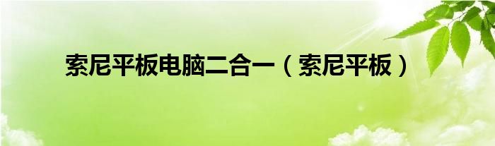 索尼平板电脑二合一（索尼平板）