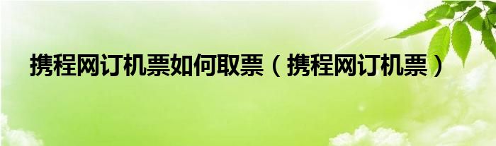 携程网订机票如何取票（携程网订机票）