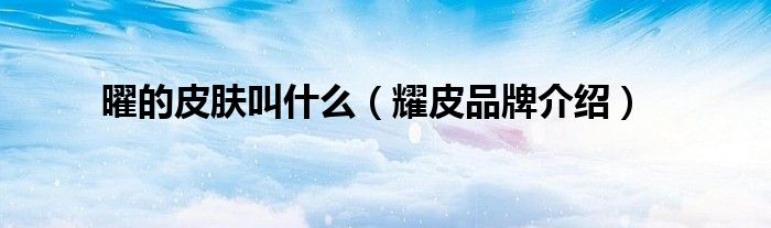 曜的皮肤叫什么（耀皮品牌介绍）