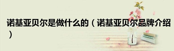 诺基亚贝尔是做什么的（诺基亚贝尔品牌介绍）