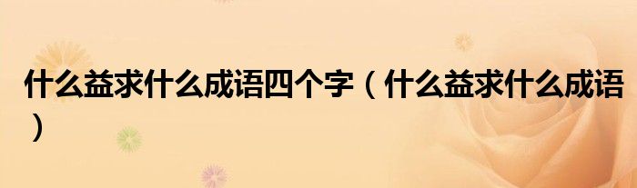 什么益求什么成语四个字（什么益求什么成语）