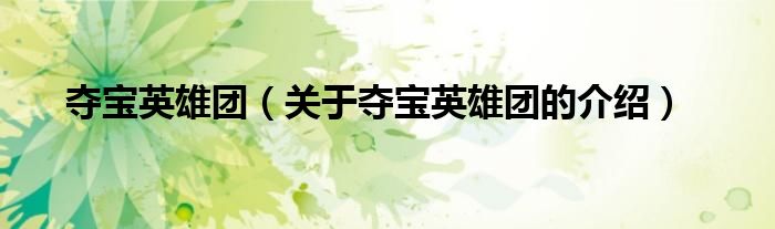 夺宝英雄团（关于夺宝英雄团的介绍）