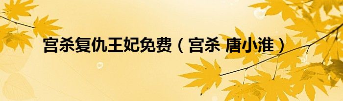 宫杀复仇王妃免费（宫杀 唐小淮）