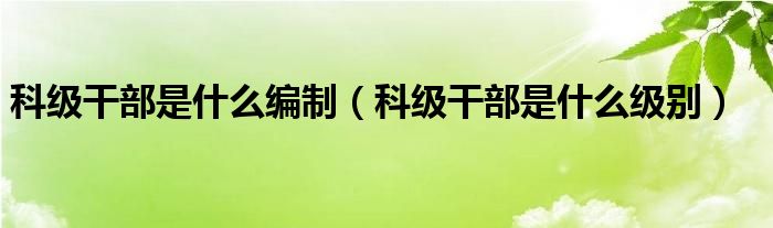 科级干部是什么编制（科级干部是什么级别）