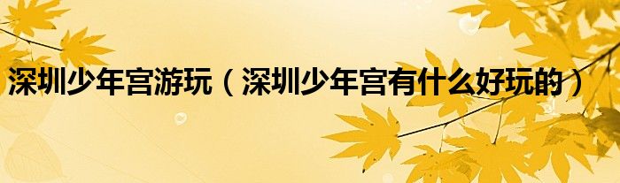 深圳少年宫游玩（深圳少年宫有什么好玩的）