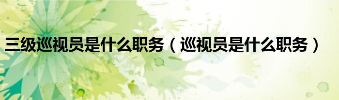 三级巡视员是什么职务（巡视员是什么职务）